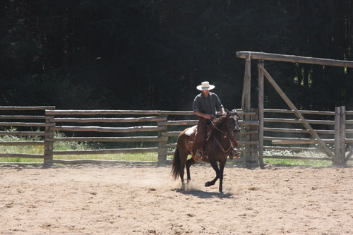 Stage équitation western et séjour western en France et en Amériques -  Caval&go